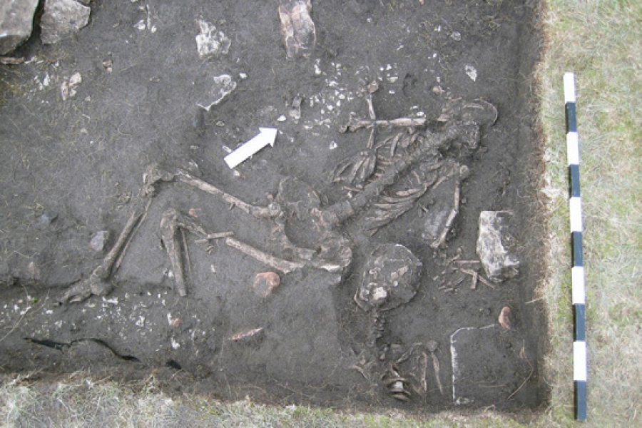 Skelettrester i en arkeologisk utgrävning ligger i mörk jord, delvis med stenar. En vit pil pekar mot skelettets huvud. En skala med svarta och vita rutor är placerad till höger på marken.