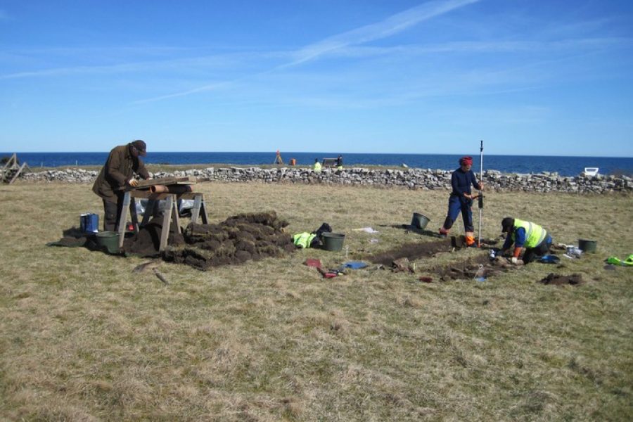 Arkeologer gräver och siktar jord på en utgrävning vid Sandby borg. Två personer arbetar tillsammans medan en annan siktar jord på ett bord. Havet syns i bakgrunden, inramat av en stenmur.