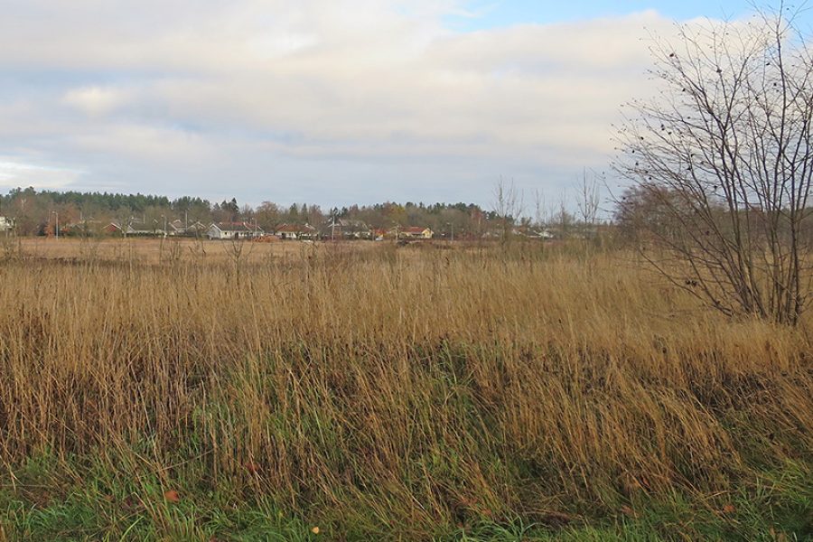 Öppet landskap med högt, brungult gräs i förgrunden. På avstånd syns en liten by med hus omgivna av träd. Himlen är täckt av moln med inslag av blå himmel. Vissen vegetation ger ett höstlikt intryck.