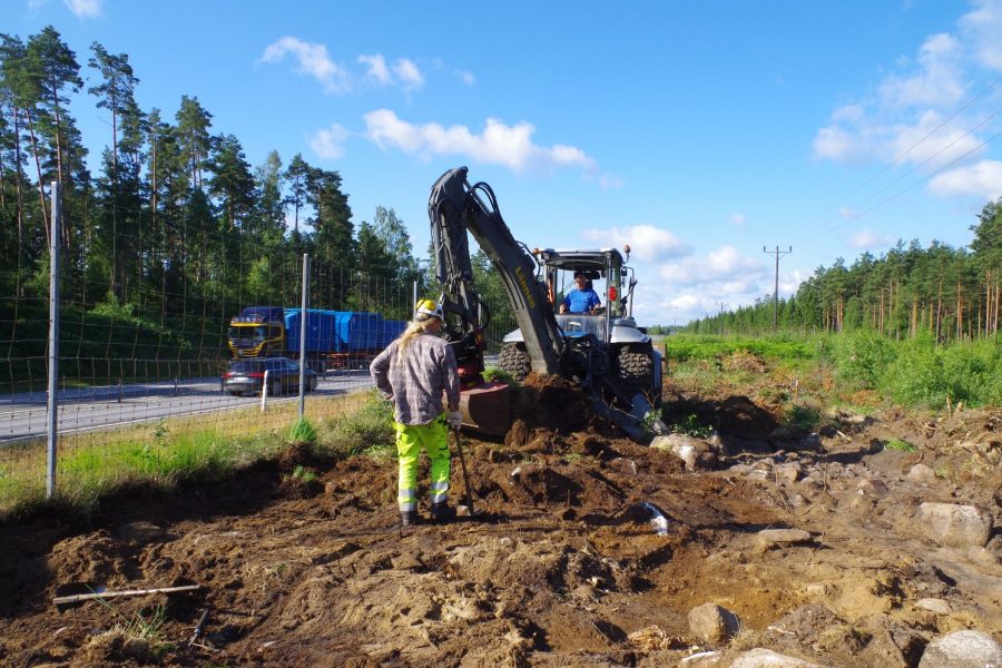 Arbetare i hjälm står vid en grävmaskin som gräver jord intill en väg med förbipasserande bilar. Skog i bakgrunden under en klarblå himmel. Scenen antyder pågående väg- eller infrastrukturarbete.