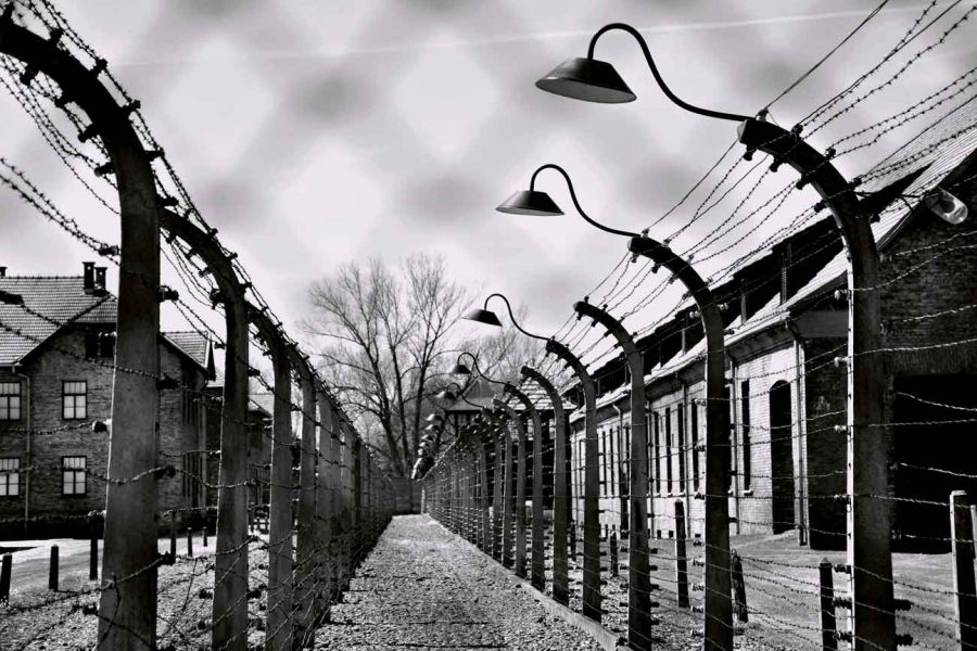 Taggtrådsstängsel ramar in en grusgång som leder genom en historisk plats. På båda sidor syns baracker och lampor hänger ovanför stängslet. Bakgrunden visar träd utan löv, vilket förstärker den öde känslan.