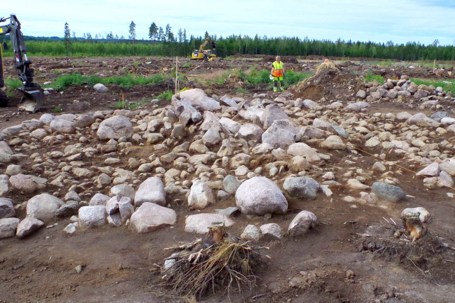 En arkeologisk utgrävning pågår på en öppen fält, där en person i orange arbetskläder undersöker en stenhög. Maskiner syns i bakgrunden med skog i horisonten. Området är täckt med jord och lösa stenar.