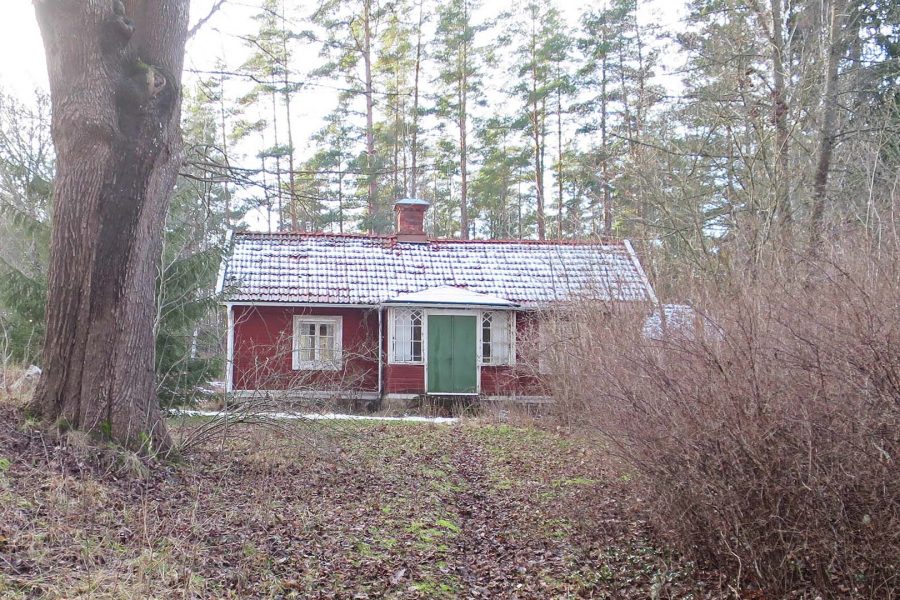 En röd stuga med snötäckt tak och grön dörr, omgiven av höga träd och buskar, står ensam i en vinterskog. Marken är täckt av vissna löv, vilket ger en känsla av avskildhet och stillhet.
