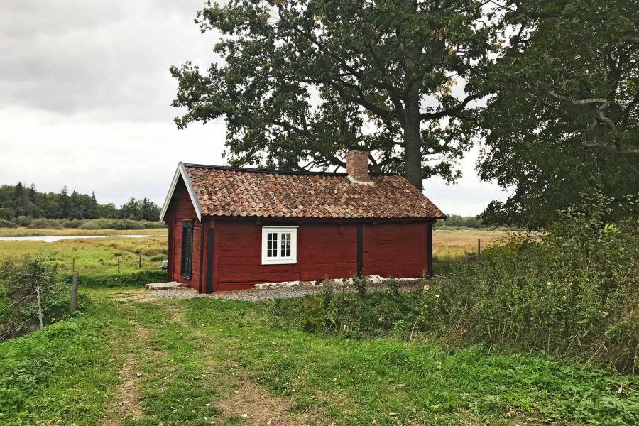 Röd liten stuga med tegeltak står bredvid ett stort träd på en landsbygd. Grusväg leder mot stugan. Landskapet omkring är öppet med gräs och buskar. Molnig himmel ovanför, lugn och fridfull atmosfär.