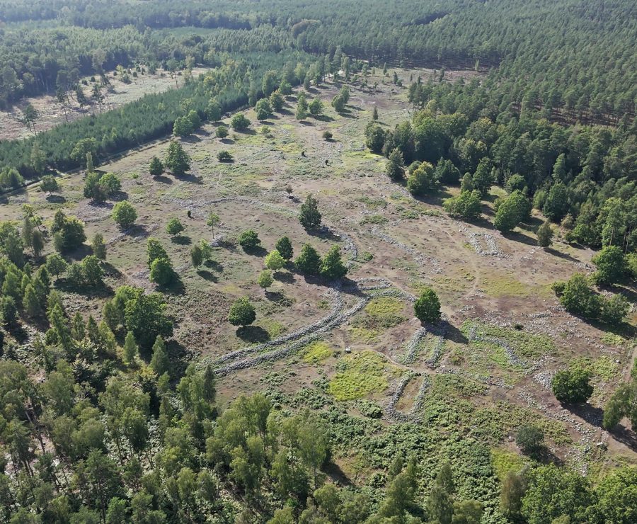 Luftbild av ett öppet skogslandskap med frodig grönska och spridda träd, omgivet av tät skog i bakgrunden. Stenformationer slingrar sig genom området, vilket ger intryck av en historisk eller kulturell plats.